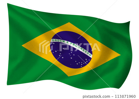 Brazil country flag world icon 113871960