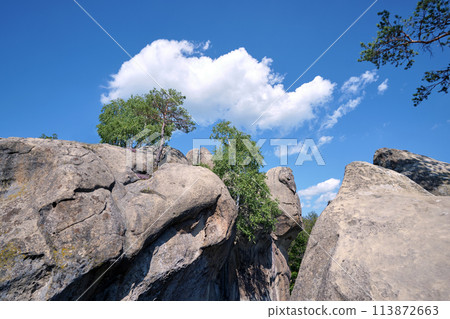 Big old pine tree growing on rocky mountain top under blue sky on summer mountain view background 113872663