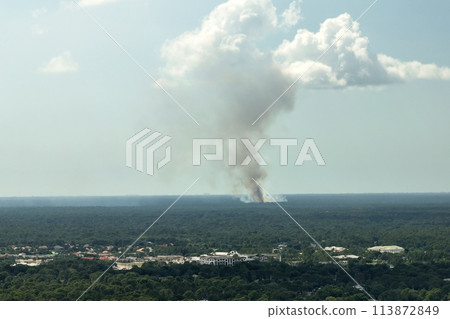Dangerous wildfire burning severely in Florida jungle woods. Hot flames in dense forest. Toxic smoke polluting atmosphere 113872849