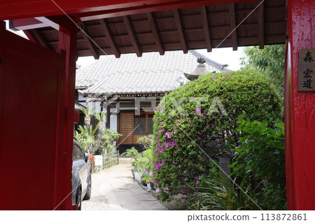 Red Flower Corridor Red Flower Corridor 113872861