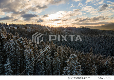 Winter landscape with spruse trees of snow covered forest in cold mountains. Winter landscape with spruse trees of snow covered forest in cold mountains. 113872880