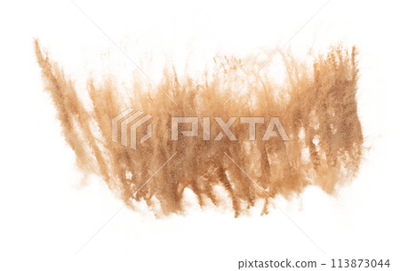 Sand Storm desert with wind blow spin swirl around. Golden Yellow sand tornado storm with high wind. Fine Sand circle around, White background Isolated throwing particle element object.Sand Storm Sand Storm desert with wind blow spin swirl around. Golden Yellow sand tornado storm with high wind. Fine Sand circle around, White background Isolated throwing particle element object.Sand Storm 113873044