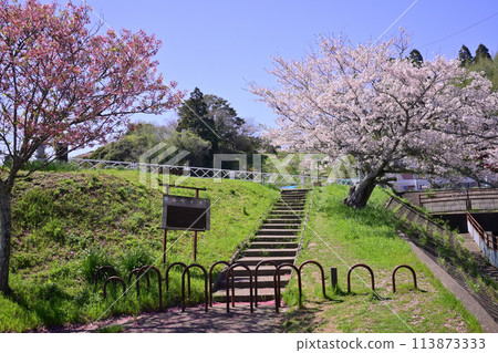 春天的烏加蓋克 113873333