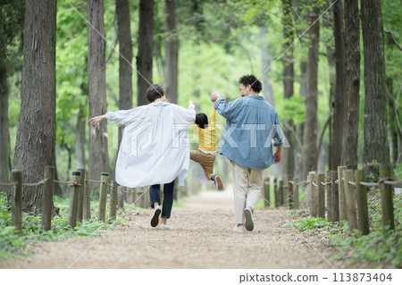 A family walking happily together, holding hands and smiling, through the fresh greenery and beautiful greenery. Image of insurance and leisure outing. Back view without faces. Children. 113873404