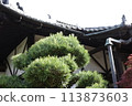 日式房屋和秋葉 113873603