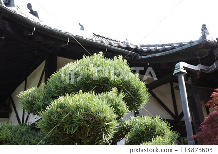 日式房屋和秋葉 日式房屋和秋葉 113873603
