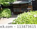用鮮花的風景 113873615