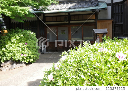用鮮花的風景 用鮮花的風景 113873615