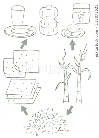 甘蔗渣(壓榨甘蔗)的手繪插圖,直到它成為紙盤、紙杯和午餐盒的容器 甘蔗渣(壓榨甘蔗)的手繪插圖,直到它成為紙盤、紙杯和午餐盒的容器 113873623