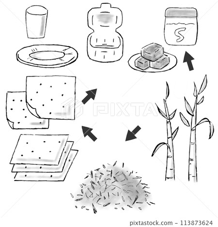 甘蔗渣(壓榨甘蔗)的手繪插圖,直到它成為紙盤、紙杯和午餐盒的容器 甘蔗渣(壓榨甘蔗)的手繪插圖,直到它成為紙盤、紙杯和午餐盒的容器 113873624