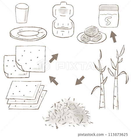甘蔗渣(壓榨甘蔗)的手繪插圖,直到它成為紙盤、紙杯和午餐盒的容器 甘蔗渣(壓榨甘蔗)的手繪插圖,直到它成為紙盤、紙杯和午餐盒的容器 113873625