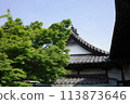 綠蔭環繞的寺廟景象 113873646