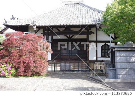山門前杜鵑花盛開 山門前杜鵑花盛開 113873690