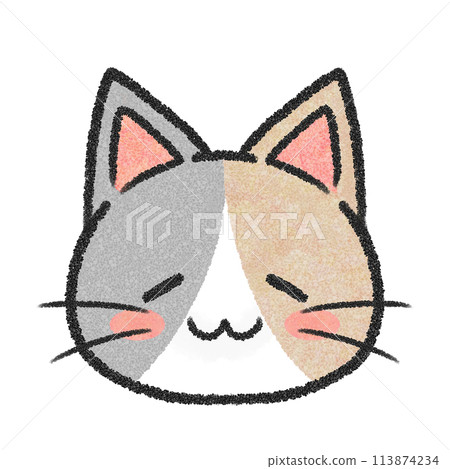 貓的睡臉（三色貓） 113874234