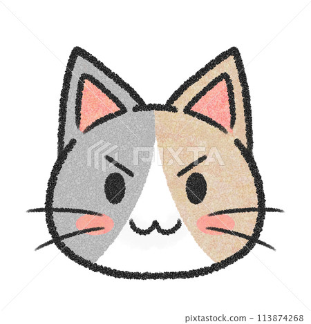 Cat's sharp face (calico cat) Cat's sharp face (calico cat) 113874268