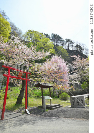 Cherry blossoms and fresh greenery at the entrance to Tanashita Fudo Falls in the spring season Cherry blossoms and fresh greenery at the entrance to Tanashita Fudo Falls in the spring season 113874308