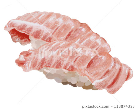 握壽司（兩塊中脂鮪魚）白色背景 113874353