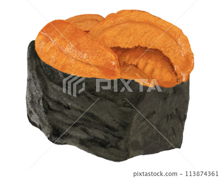 Gunkanmaki（海膽）白色背景 113874361