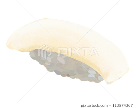 Nigiri sushi (squid) on white background 113874367