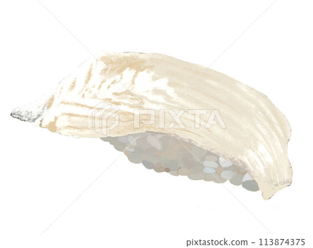 握壽司（由比目魚組成）白色背景 113874375