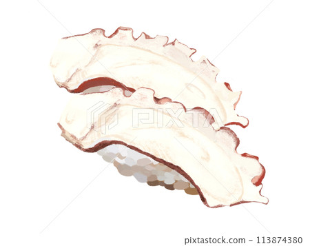 Nigiri sushi (two pieces of octopus) 113874380