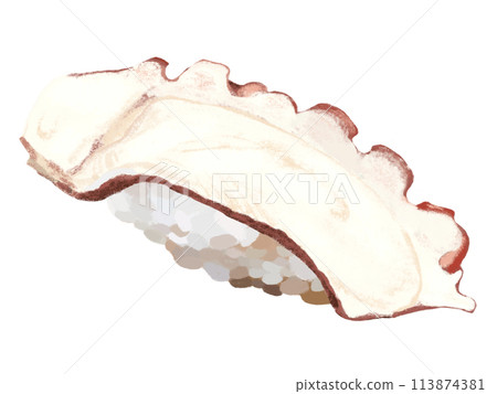 Nigiri sushi (octopus) on white background 113874381