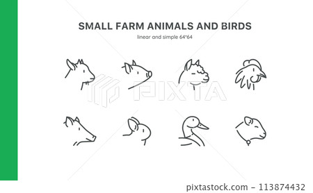 Farm Animals Icon Set: Featuring Goat, Pig, Llama, Alpaca, Hen, and More. Includes Chicken, Rabbit, Duck, Lamb, and Various Bird Silhouettes. Editable Stroke. Farm Animals Icon Set: Featuring Goat, Pig, Llama, Alpaca, Hen, and More. Includes Chicken, Rabbit, Duck, Lamb, and Various Bird Silhouettes. Editable Stroke. 113874432