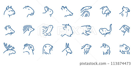 Wild Animals Outline Icons Set. Linear Sumbols of  Animals for Web Design - mammal, bird, reptile, amphibian, hedgehog, wolf, llama, frog, elk, donkey, rat, chameleon. 113874473