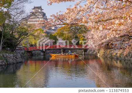 Himeji Castle and cherry blossoms in Himeji, Hyogo Prefecture. A rowboat heading towards the red bridge. Himeji Castle and cherry blossoms in Himeji, Hyogo Prefecture. A rowboat heading towards the red bridge. 113874553