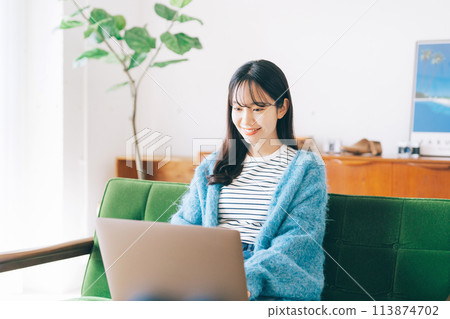 Woman using a computer on the sofa 113874702