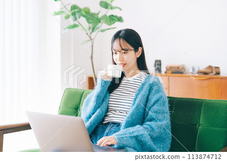 Woman using a computer on the sofa 113874712