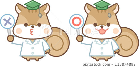 Squirrel character in white coat holding a circle and a cross 113874892