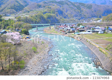 Tone River: Cherry blossom season and fresh greenery, view from near Tanashita Fudo 113874968