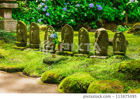 June in Kamakura: Stone Buddha at Hokokuji Temple 113875095