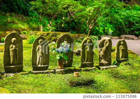 六月的鎌倉報國寺石佛 六月的鎌倉報國寺石佛 113875096