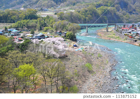利根川、櫻花季和新鮮的綠色風景，田下不動附近的景色 113875152