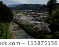 The Tokaido Shinkansen N700A runs through Sekigahara in spring when cherry blossoms are in bloom (Tokaido Shinkansen Maibara - Gifu-Hashima, April 2024) 113875156