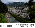 Doctor Yellow running through Sekigahara in spring when cherry blossoms are in bloom (Tokaido Shinkansen Maibara - Gifu-Hashima, April 2024) 113875157