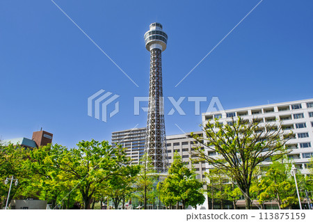 Yokohama City, Yamashita Town, Yokohama Marine Tower 113875159