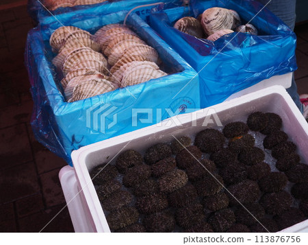 Market Items for Sale Market Items for Sale 113876756