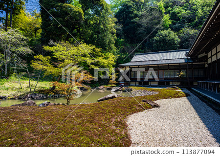Kamakura scenery: Shoin surrounded by fresh greenery 113877094