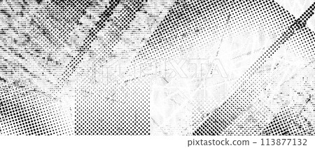 Halftone grunge punk texture. Distorted rough dirty scratch and splash background. Dotted glitch wallpaper for banner, poster, flyer, print, overlay. Distress scuffed vector textured backdrop 113877132