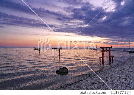 [The underwater torii gate of Oozu Shrine and the Tara Undersea Road (early morning)] Tara, Tara Town, Fujitsu District, Saga Prefecture 113877134