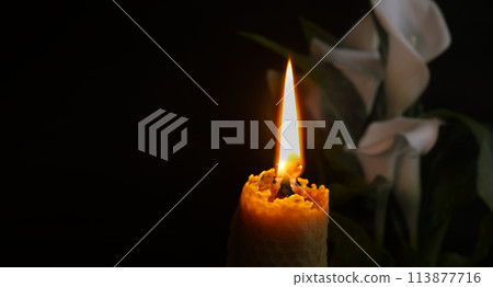 White calla lily flowers and burning wax candle in darkness 113877716