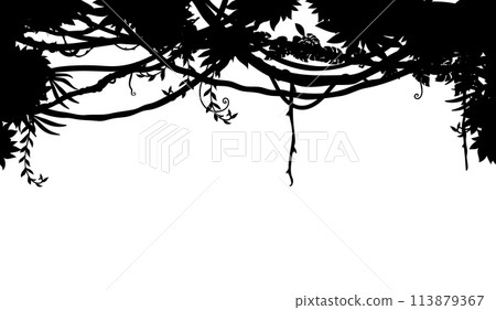 Tropical jungle liana branch vines silhouette background. Black vector upper border or frame with rainforest thicket, Amazon or African flora with tropic leaves, plants, green trees foliage spinney 113879367
