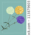 Yellow, white and purple carnations 113879603