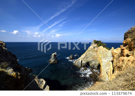 Nice! Nishiizu 113879674