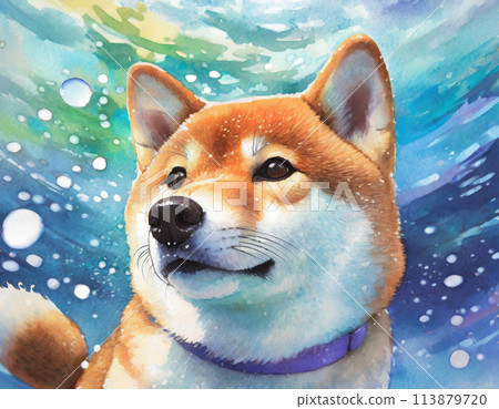 水彩插圖 113879720