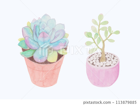 Cute Watercolor Plant Clipart - Download Botanical Illustration 113879885
