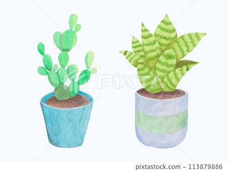 Cute Watercolor Plant Clipart - Download Botanical Illustration 113879886
